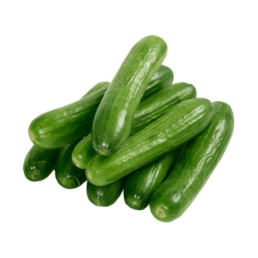 Cucumber