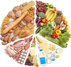 Basic Food