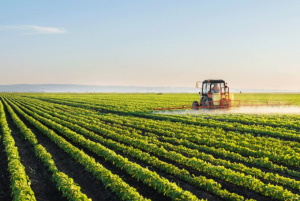 Agriculture